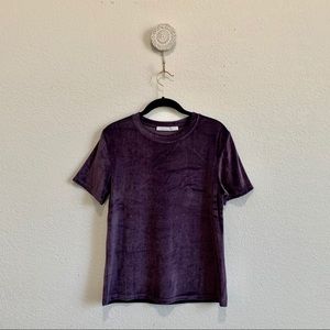 Crew neck, short sleeve velvet top in purple.